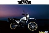 スズキ DR250S（1982）
