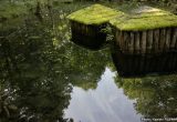 来運公園（北海道）