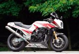 トレーディングガレージ ナカガワ GPZ900R（カワサキ GPZ900R）