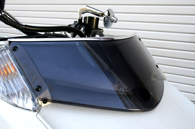 【カスタムアーカイブ】ノンエアロから始めるマグザムのライトスタイル　カスタム05画像