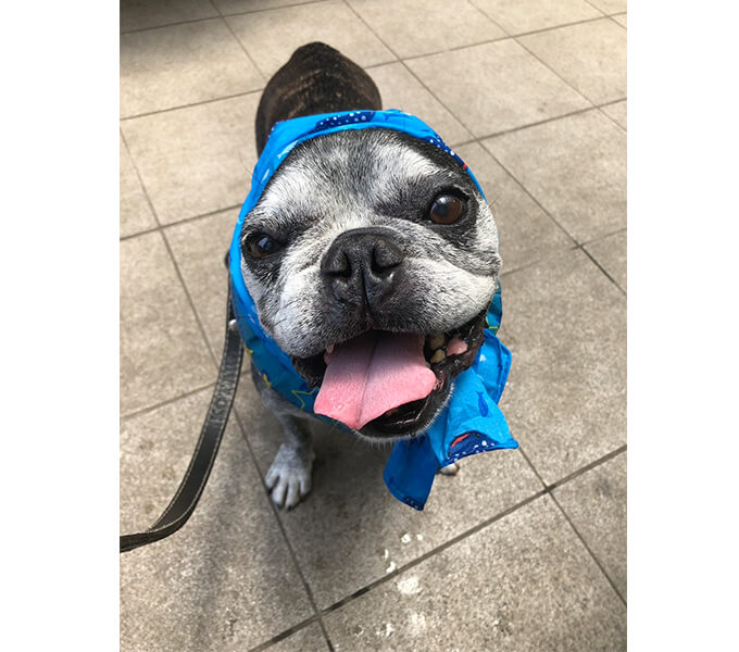 ライダーインタビュー【モーターサイクル・ザン・パラダイス Vol.30】夢子さん 画像04