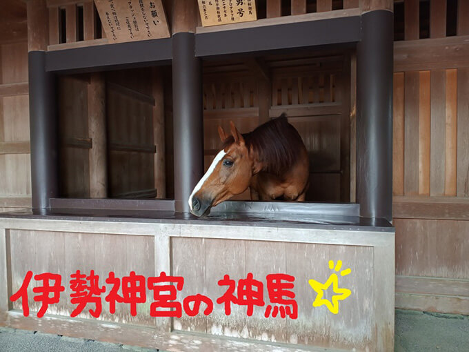 ゆるカブ第二百十回「カブ大好き!!!　ゆる～く再開だよん♪」08画像