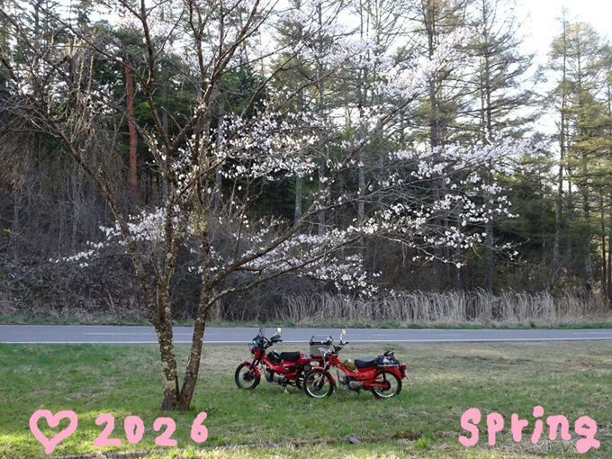 ゆるカブ第二百十一回「春に恋してカブで花めぐり」メイン画像