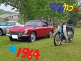 ゆるカブ第二百十四回　ヴィンテージバイクに惚れてまうやろ！