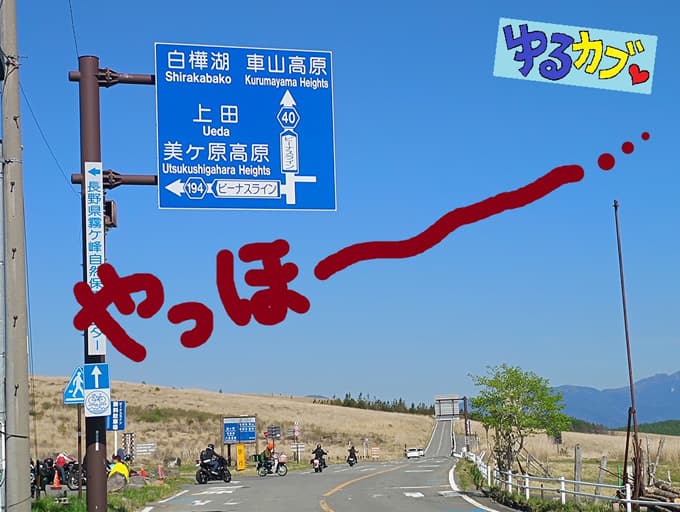 ゆるカブ第二百十五回 ビーナスラインで奇跡のカブに出会えた~♪メイン画像