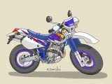 レトロバイク・グラフティ第176回 YAMAHA TT250R 1993年