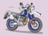 レトロバイク・グラフティ第181回 SUZUKI DJEBEL 250XC 1996年