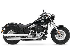 ハーレーダビッドソン FLS Softail Slim 写真