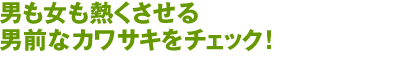 男も女も熱くさせる男前なカワサキをチェック！