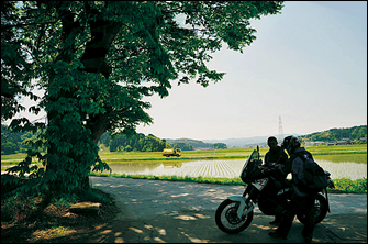 おだやかな田園風景を楽しみたくて脇道に逸れたら、迷った。日陰にバイクを止めて、まずは自分たちの現在地を確認してみる