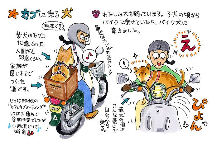 第七回 カブに乗る犬 松本よしえのゆるカブdays 原付 ミニバイクならバイクブロス