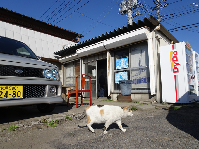 ゆるカブ第百二十九回「昭和のレトロ自販機を探訪！」 03画像