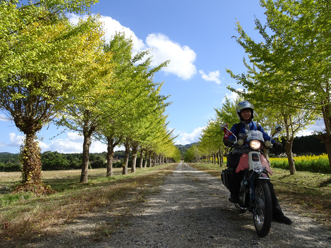 ゆるカブ第百四十回「晩秋の2020SSTR その２」09画像