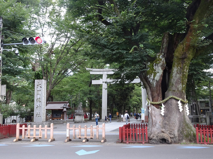 ゆるカブ第百五十六回「カブで