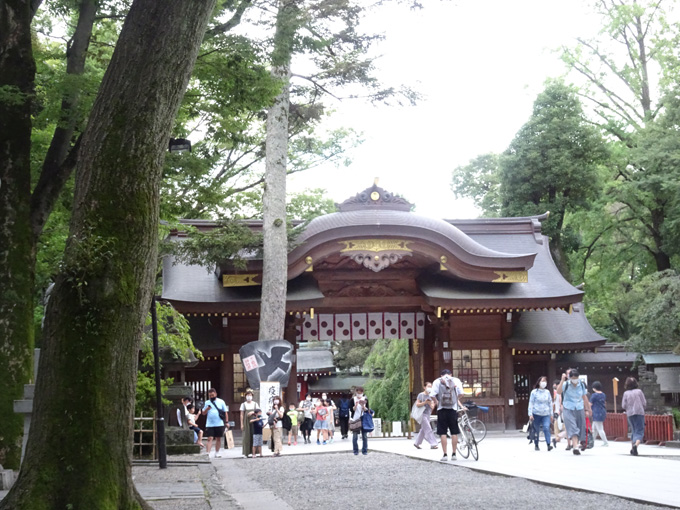 ゆるカブ第百五十六回「カブで