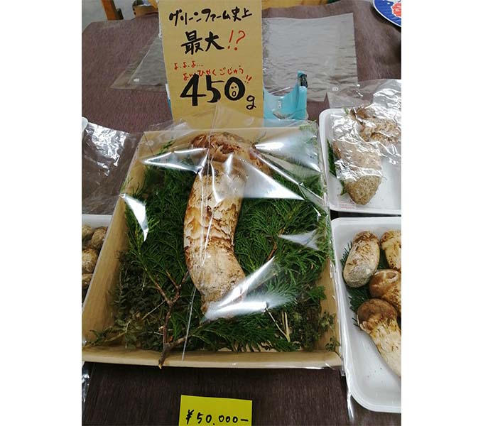 ゆるカブ第百六十一回「今年は松茸食べた？」04画像