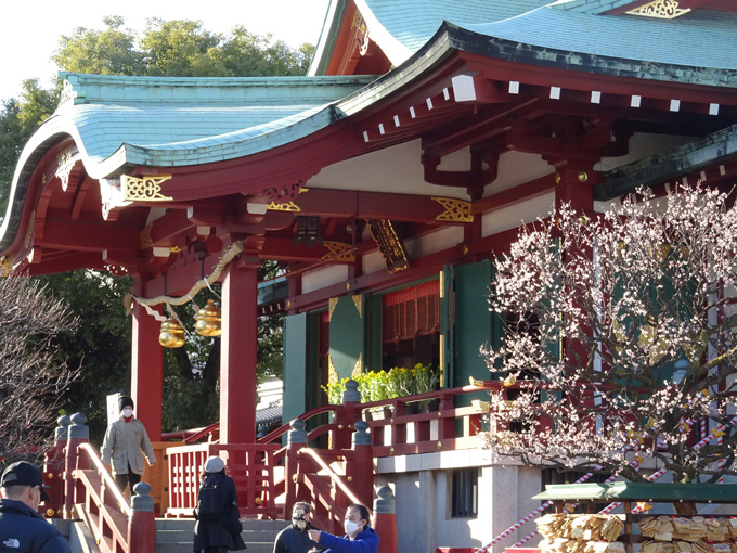 ゆるカブ第百七十回「春だよ、梅の花香る亀戸天神へ」06画像