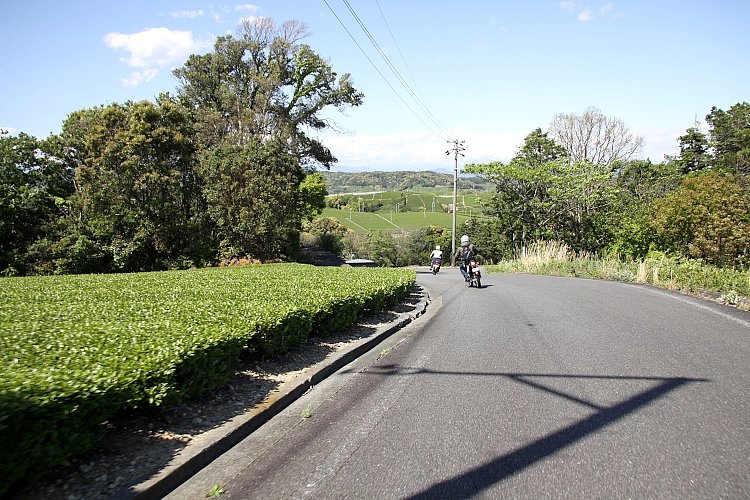 お茶屋さんの先導でお茶畑の中の裏道を走る。さすが地元の人だけあって、交通量の少ない、いい道を知ってますね!!