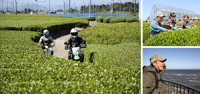 第九回 お茶の本場で茶摘みにトライ！（静岡県）