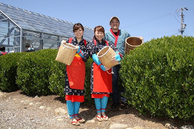 第九回 お茶の本場で茶摘みにトライ 静岡県 原チャでchacha茶 原付 ミニバイクならバイクブロス