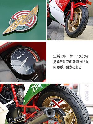 旧車メーカー別購入ガイドドゥカティ バイク購入ガイド バイクブロス