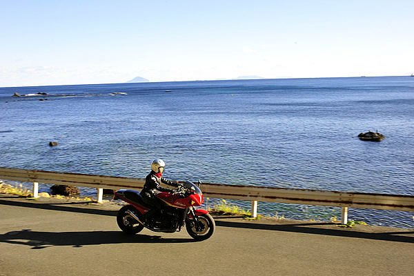 交通量の多い国道135号線から少し入ると、海沿いの道が現れます。下田市白浜はアロエの生産が盛んなんです。この道も1月頃は赤いアロエの花で満開になります。