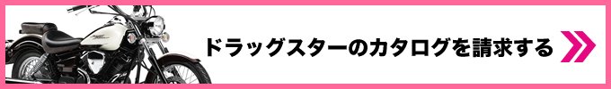 ドラッグスターのカタログを請求する