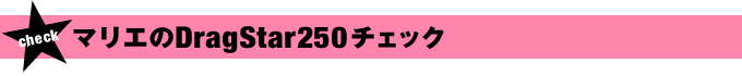 マリエのDS250チェック