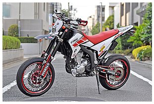 ヤマハ WR250X SIDE VIEW