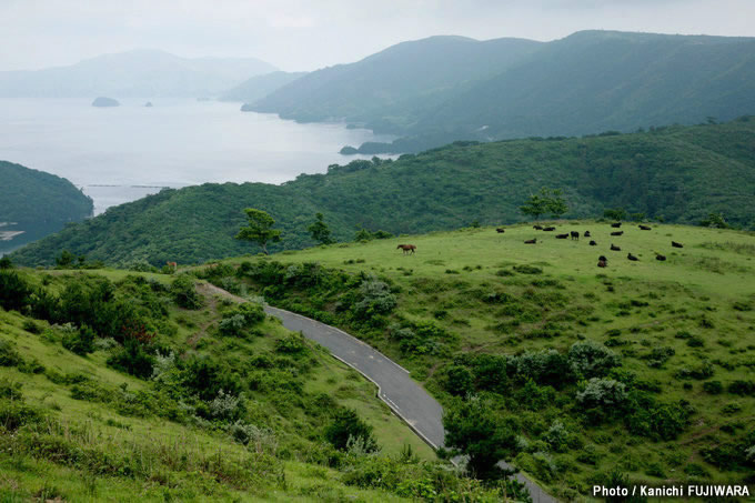 2位／鬼舞スカイライン（島根県）の画像