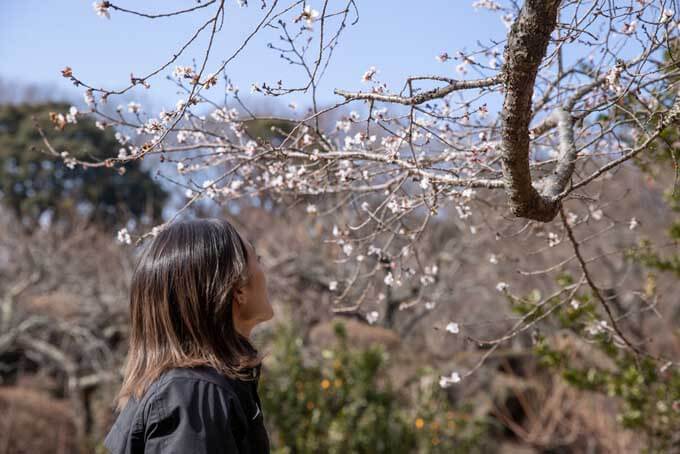 【関東ツーリングスポット紹介 茨城県つくば市】関東平野も峠道も楽しめる筑波山ツーリングの画像14