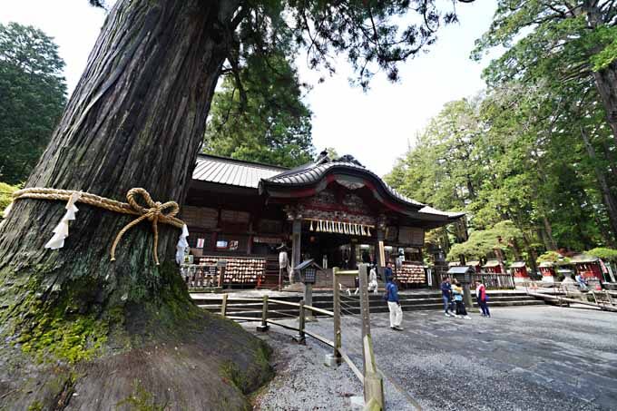 【関東ツーリングスポット紹介 富士山周辺絶景日帰りツーリング】まかせろ映え撮り！ 自撮りゴッドのアドバイスもあるでよ～！！の画像013