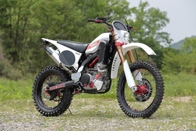 DIRTFREAK WR250R RETRO（YAMAHA WR250R RETRO）のカスタム画像