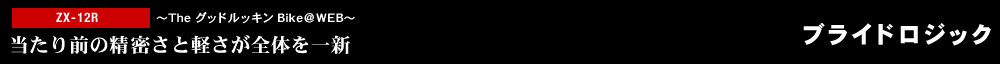 ブライトロジック / ZX-12R カスタム写真