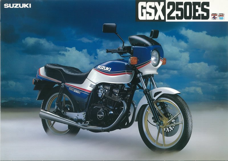 RG250E サイドカウル 右 黒 スズキ 純正 中古 バイク 部品 GT2502-505 ...
