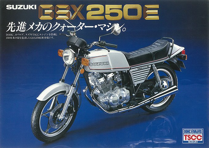 gsx250eゴキ　ガソリンタンク　サイドカバーセット‼️