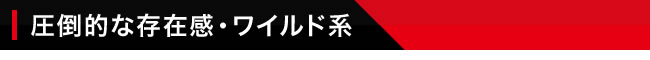 圧倒的な存在感・ワイルド系