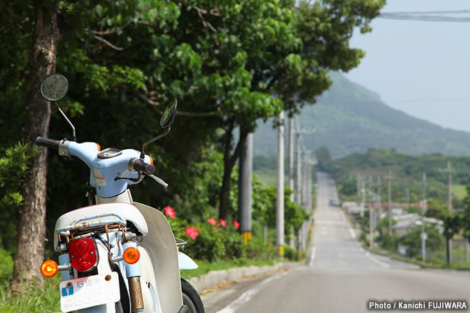 国道めぐり 国道390号（沖縄県石垣市～那覇市）の画像