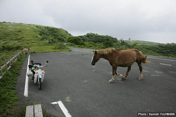 国道めぐり 国道485号（島根県隠岐郡隠岐の島町～松江市）の画像