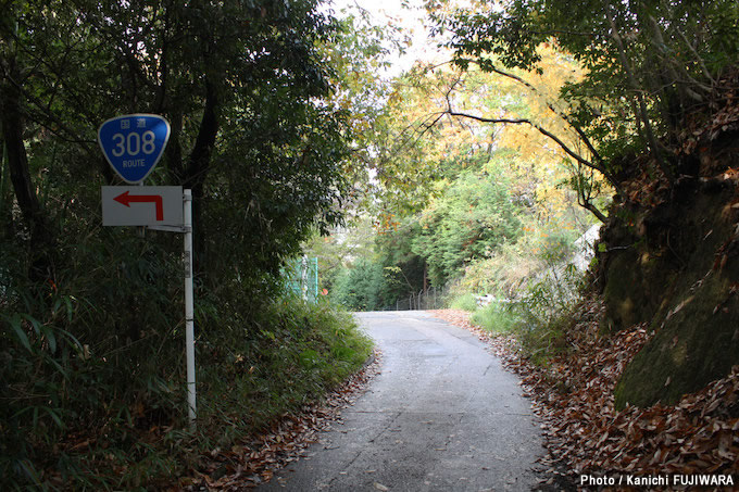 国道めぐり 国道308号（大阪府～奈良県））の画像