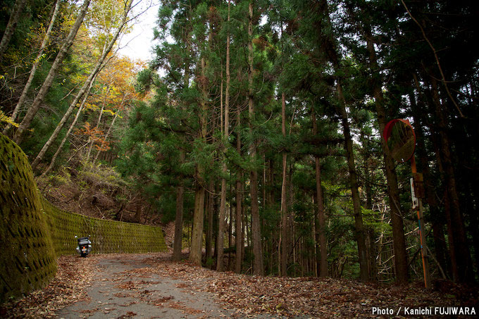 国道めぐり 国道439号（徳島県～高知県）の画像