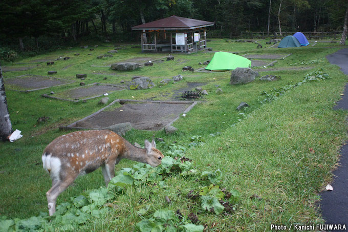 国道めぐり 国道334号（北海道羅臼町～美幌町）の画像