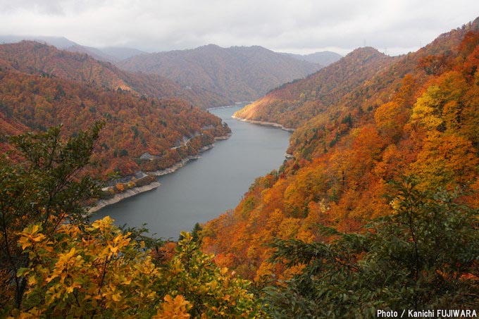 国道めぐり 国道352号（新潟県柏崎市～栃木県河内郡上三川町）の画像