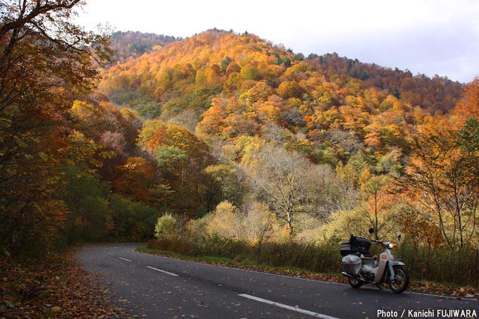 国道めぐり 国道352号（新潟県柏崎市～栃木県河内郡上三川町）の画像