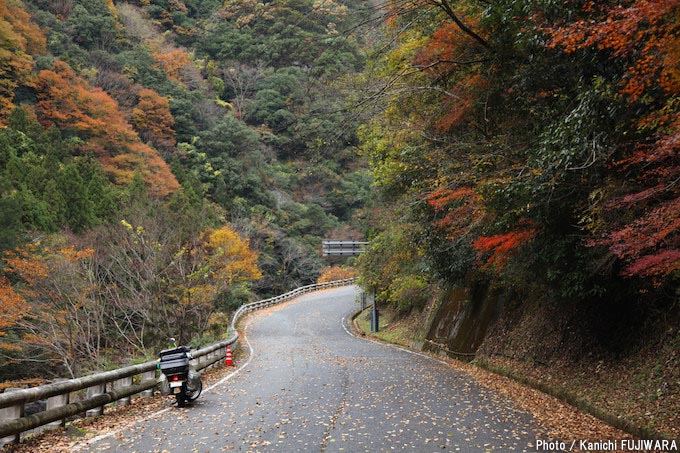 国道めぐり 国道371号（大阪府河内長野市～和歌山県東牟婁郡串本町）の画像