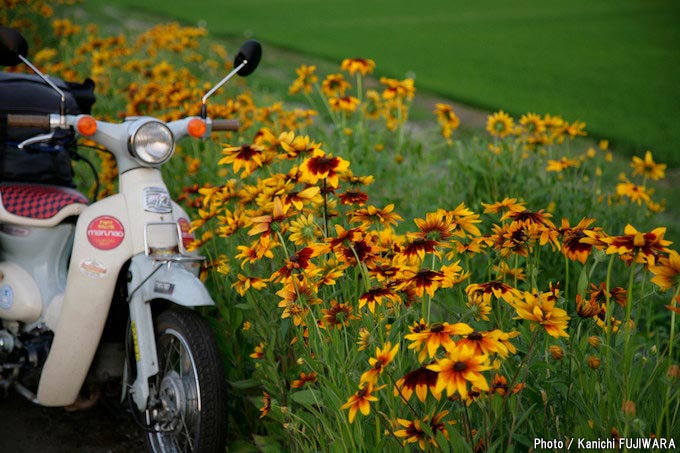 国道めぐり 国道283号（岩手県釜石市～岩手県花巻市）の画像