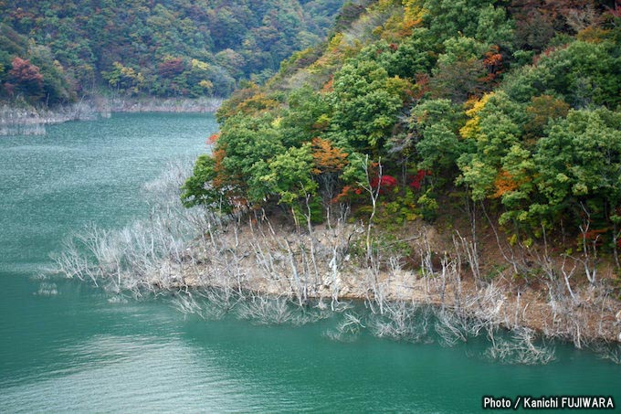 国道めぐり国道417号（岐阜県大垣市～福井県南条郡南越前町）の画像