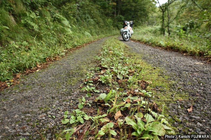 国道めぐり 国道471号（石川県羽咋市～岐阜県高山市）の画像