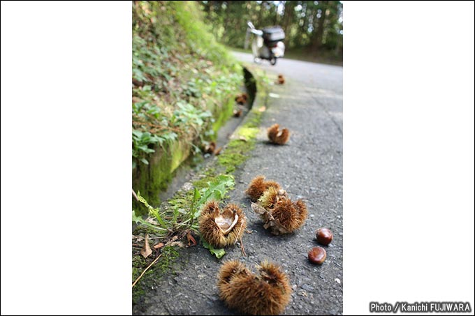 国道めぐり 国道418号（福井県大野市～長野県飯田市）の画像