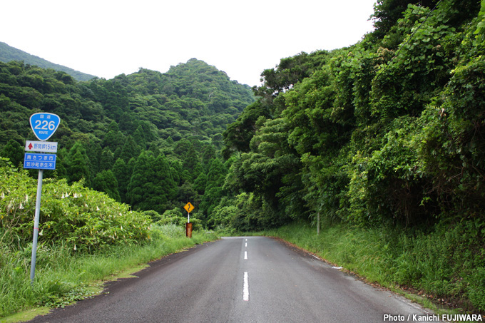 国道226号（鹿児島県南さつま市～鹿児島市）の画像